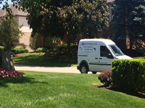 Image for Contender's Tree & Lawn Specialists with ID of: 3686566