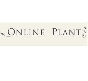 Image for Online Plants with ID of: 3688003