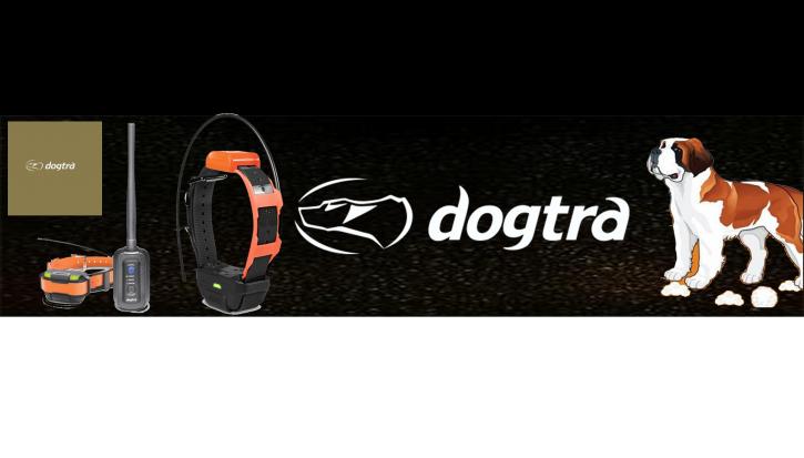 Image for Dogtra with ID of: 3689189