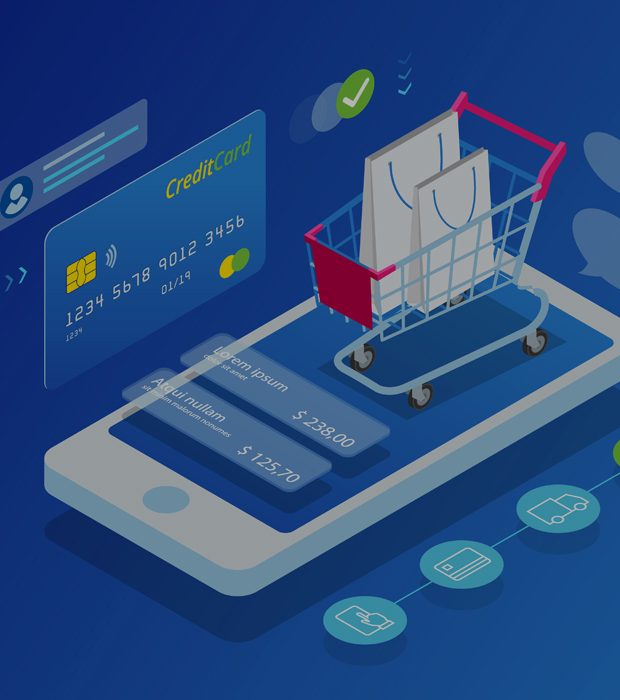 Image for Ecommerce Web Design with ID of: 3689382