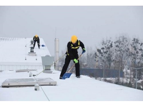 Image for Farina Snow Removal Service with ID of: 3690421
