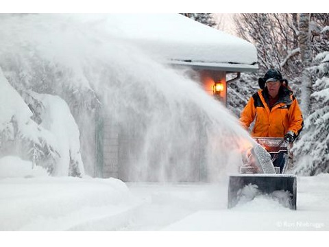 Image for Farina Snow Removal Service with ID of: 3690423