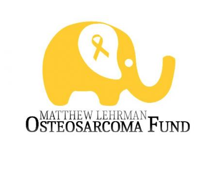 Image for Matthew Lehrman Osteosarcoma Fund with ID of: 3690592