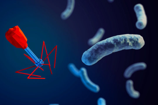 Image for Bacteriophages Therapy Market: Deep Analysis by Production Overview and Insights 2018 with ID of: 3691827