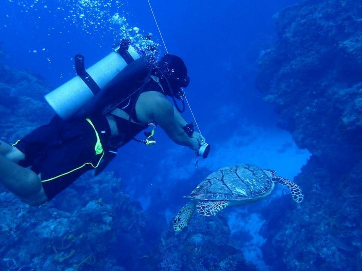Image for Dive with Martin with ID of: 3691986