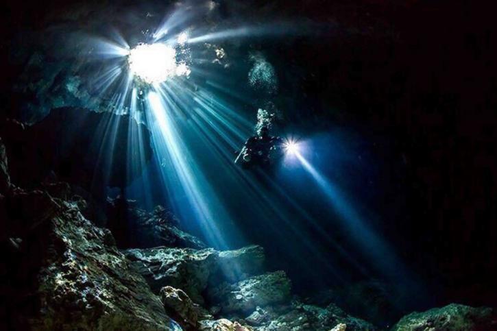 Image for Dive with Martin with ID of: 3691989