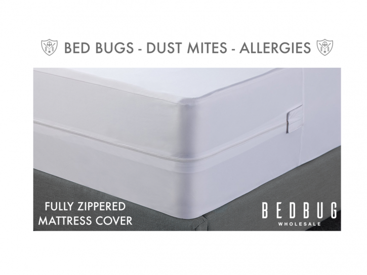 Image for Bed Bug Wholesale with ID of: 3692263