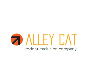 Image for Alley Cat with ID of: 3692915