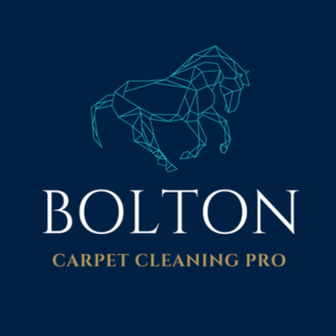 Image for get your carpets cleaned professionally with ID of: 3694798