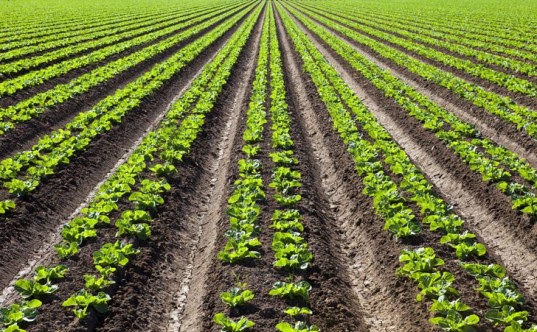 Image for Bioinsecticides Market Study By Type, Application & Top Key Players - Certis USA LLC, Bayer Cropscience AG, Novozymes A/S., Marrone Bio Innovations Inc., Syngenta AG with ID of: 3696206
