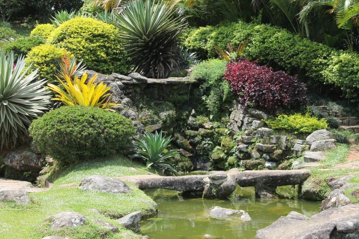 Image for Buffalo Landscaping Service with ID of: 3697208