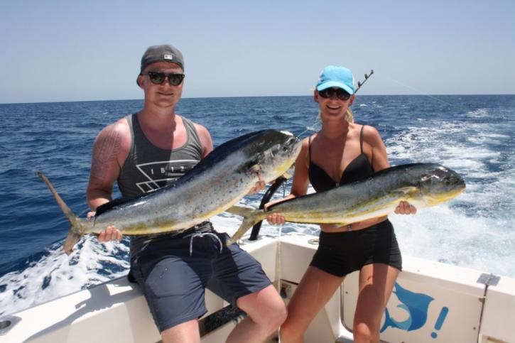 Image for Fish On! with ID of: 3698023