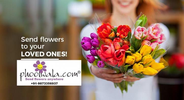 Image for Phoolwala.com- Gifts to India with ID of: 3698086