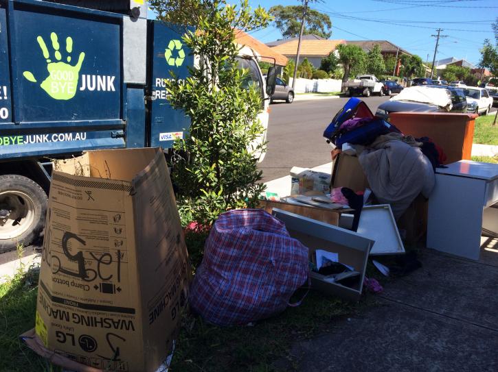 Image for Goodbye Junk with ID of: 3699207