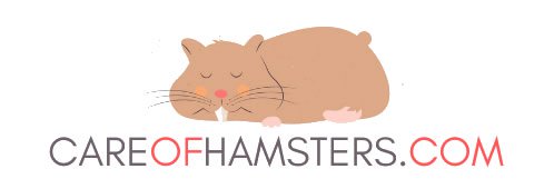 Image for Care Of Hamsters with ID of: 3699699