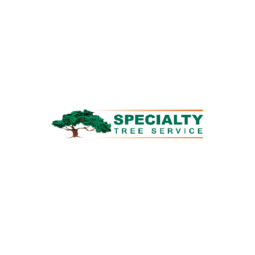 Image for Stump Removal Services in York | Specialty Tree Service with ID of: 3699927