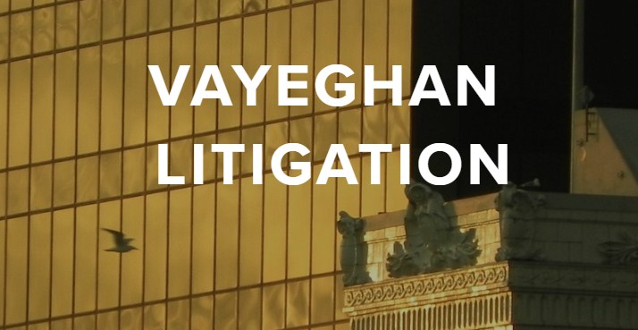 Image for Vayeghan Litigation with ID of: 3700287