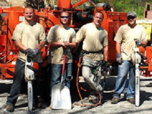 Image for Mobile AL Tree Service with ID of: 3700547
