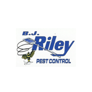 Image for Certified Pest & Termite  Control Services | BJ Riley Pest Control with ID of: 3701768