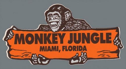 Image for Monkey Jungle with ID of: 3702125