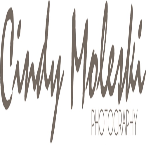 Image for Cindy Moleski Photography with ID of: 3702374
