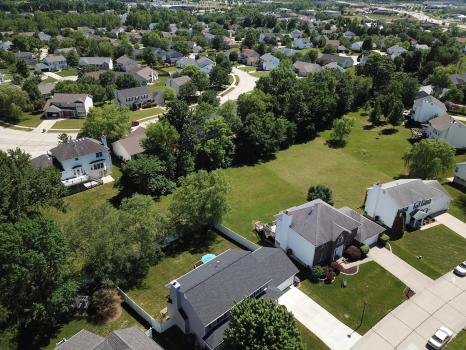 Image for Blue Pine Property Management with ID of: 3703725