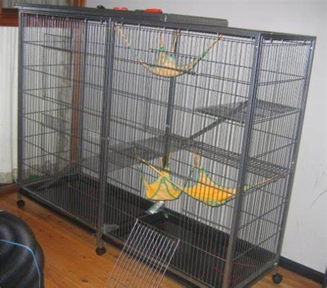 Image for ferret cages cheap with ID of: 3703835