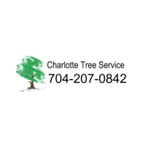 Image for Treebien Tree Care with ID of: 3705173