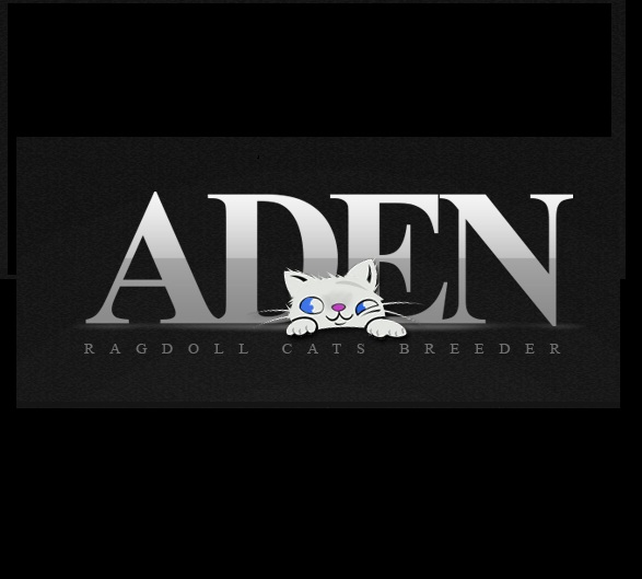 Image for ADEN RAGDOLL CATTERY with ID of: 3706282