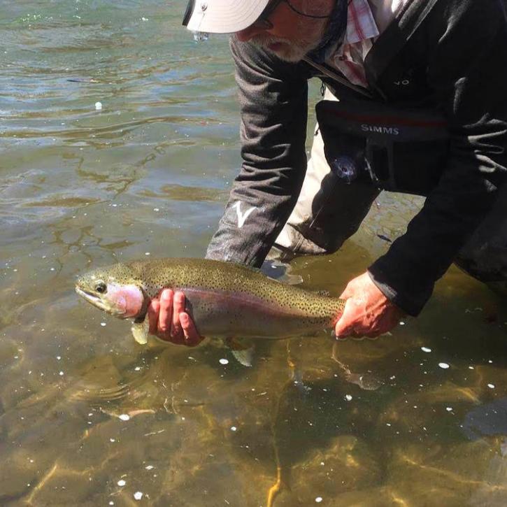 Image for Fly fishing Taos with ID of: 3706758