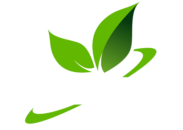 Image for Prime Tree Service Columbus with ID of: 3707112