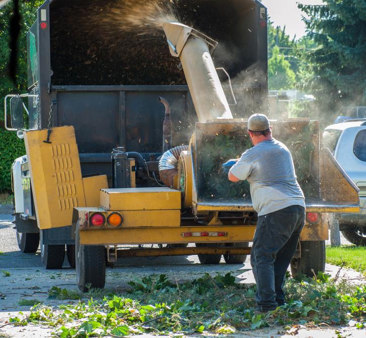 Image for Prime Tree Service Columbus with ID of: 3707113