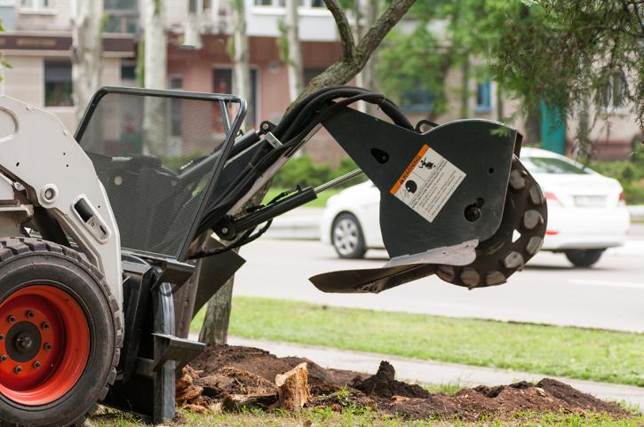 Image for Prime Tree Service Columbus with ID of: 3707217