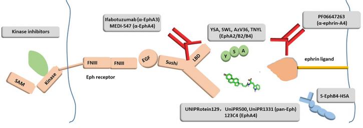 Image for buy quantum dots with ID of: 3707631