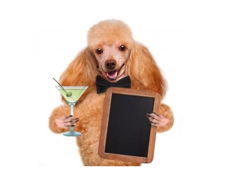 Image for Liquor Mart with ID of: 3710847