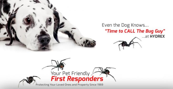 Image for Hydrex Termite & Pest Control with ID of: 3712040