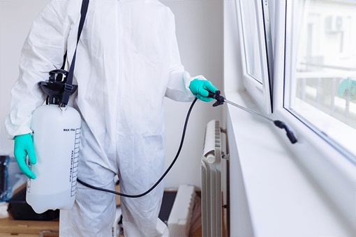 Image for Hydrex Termite & Pest Control with ID of: 3712043