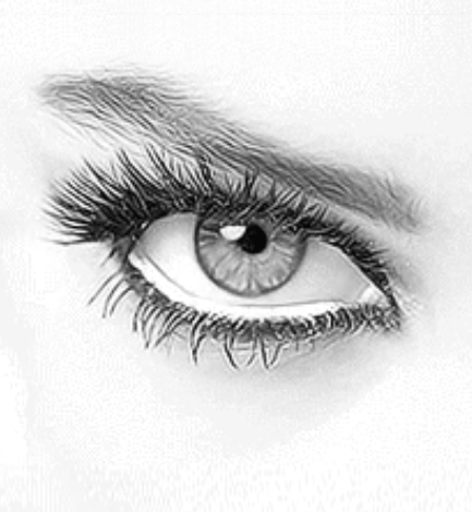 Image for Eyelash Extensions with ID of: 3713780