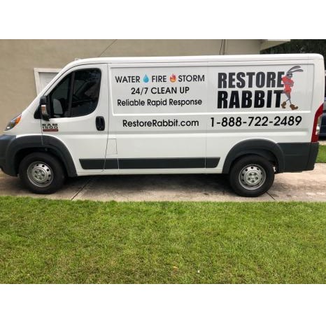 Image for Restore Rabbit with ID of: 3713813
