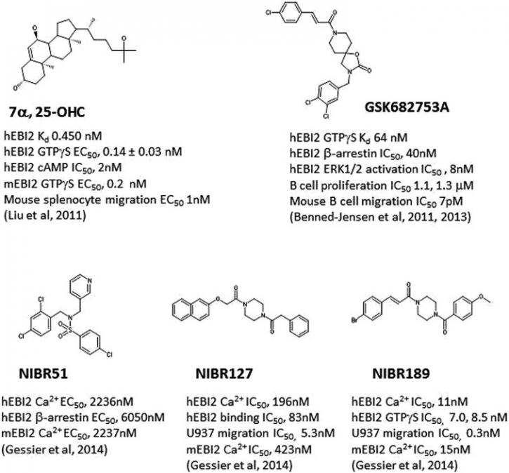 Image for Phosphine Ligands with ID of: 3714608