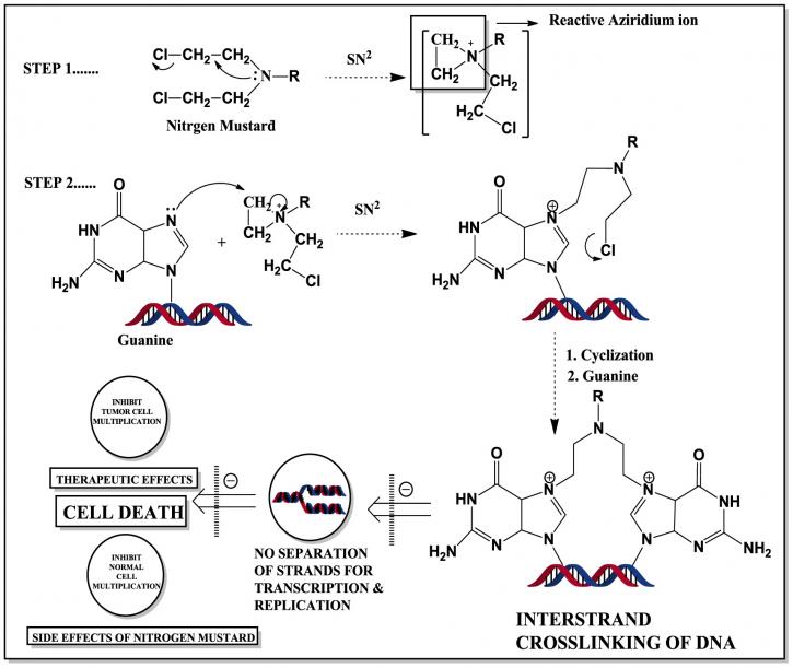 Image for Amine Ligands with ID of: 3714635