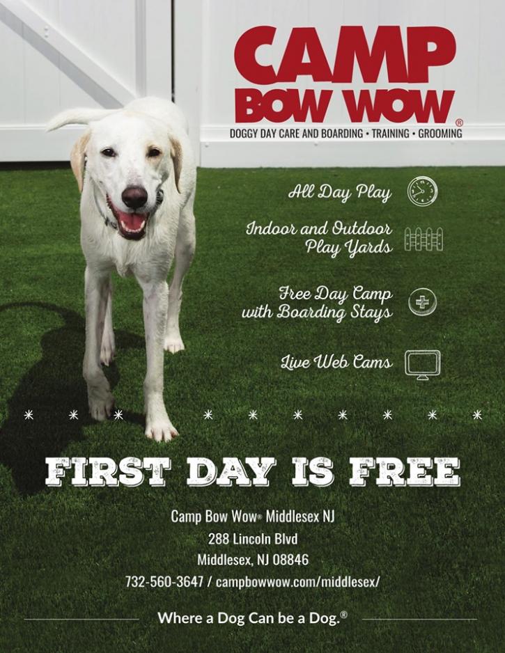 Image for Camp Bow Wow with ID of: 3715113