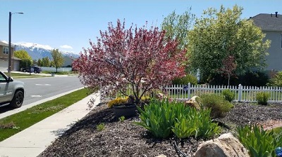 Image for American Lawn and Landscaping with ID of: 3715431