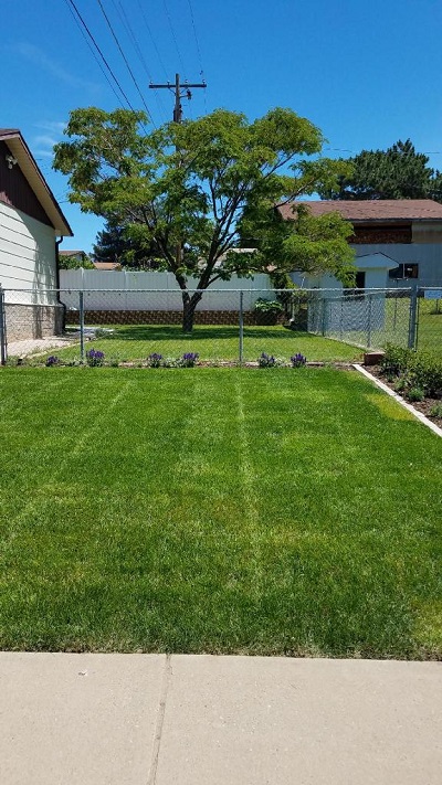 Image for American Lawn and Landscaping with ID of: 3715441