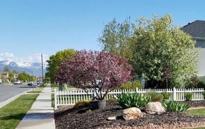 Image for American Lawn and Landscaping with ID of: 3715443