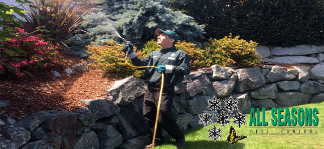 Image for All Seasons Pest Control with ID of: 3716771
