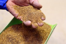 Image for Feed Acidifiers Market Study By Form, Type, Livestock & Top Key Players - Kemin Industries, Inc., Novus International, Inc., Nutrex NV, Pancosma SA and Perstorp Holding AB with ID of: 3716991