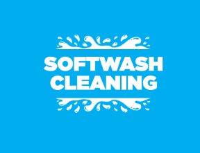 Image for Softwash Cleaning with ID of: 3717065