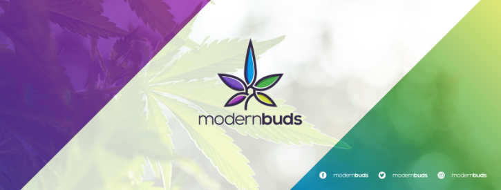Image for Modern Buds with ID of: 3720388