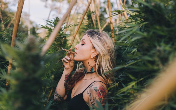 Image for High Life Medical Marijuana Evaluation Center with ID of: 3720419